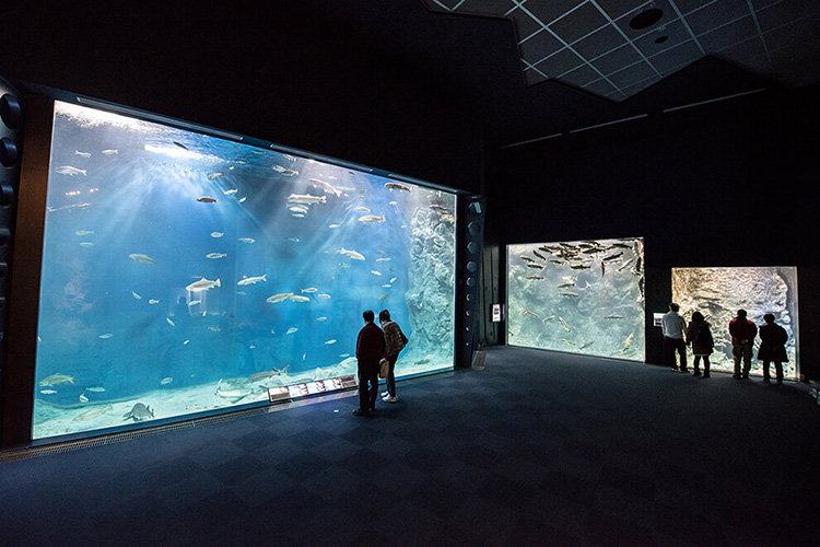 千歳水族館